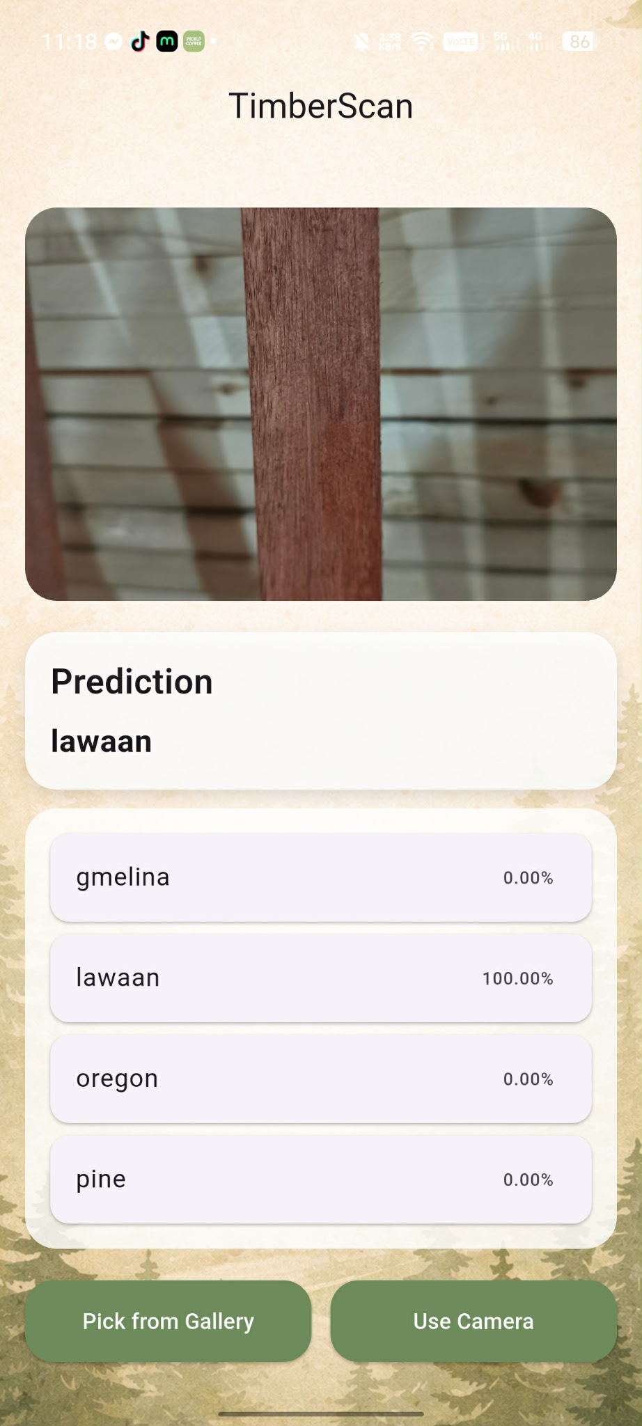 TimberScan classification results screen